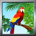 Logo of Bird Ringtones android Application 