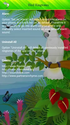 Bird Ringtones android App screenshot 0