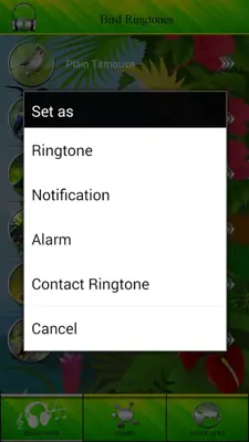 Bird Ringtones android App screenshot 1