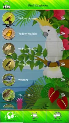 Bird Ringtones android App screenshot 2